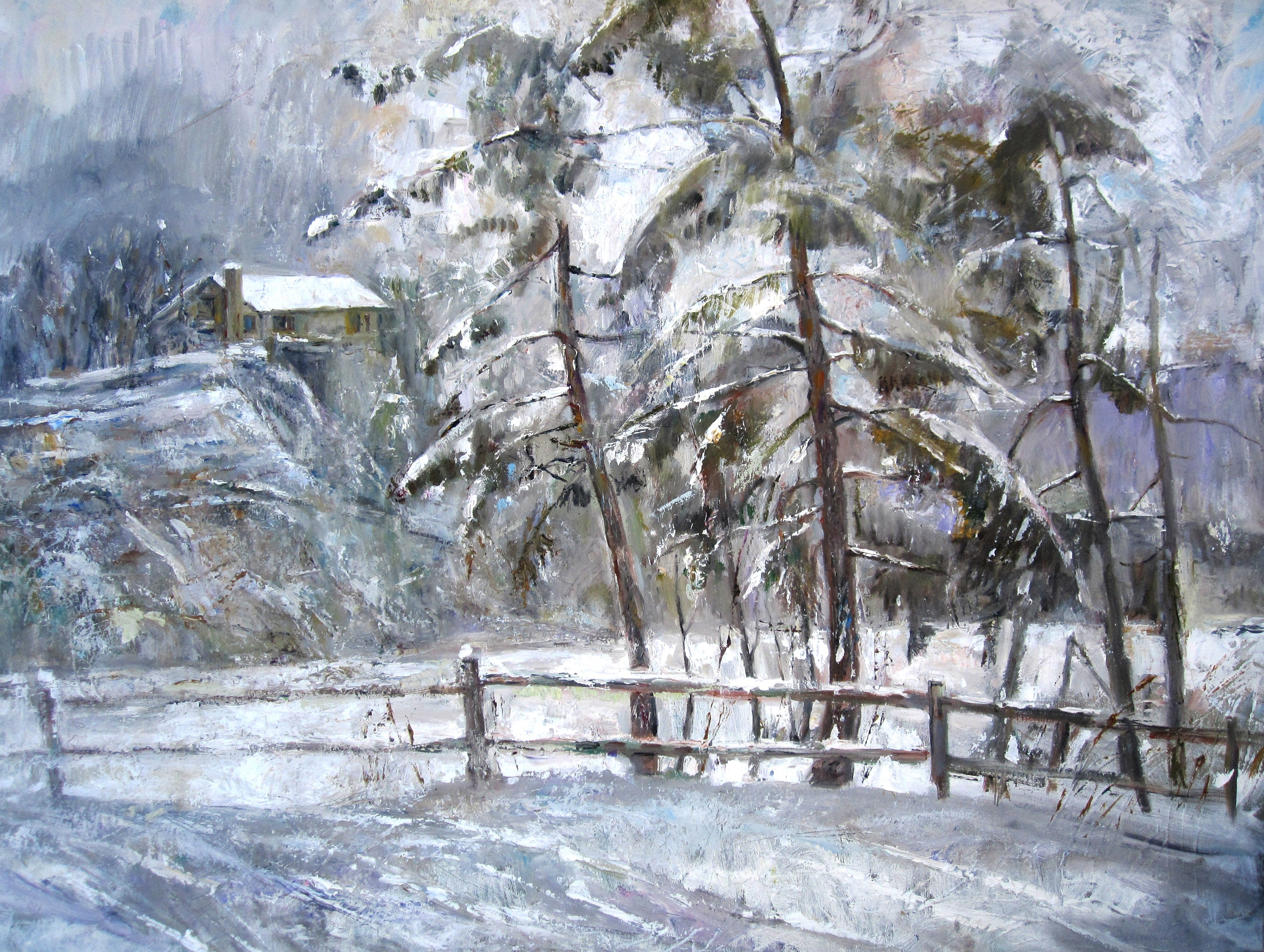 Minniwaska Lake Snow Falls