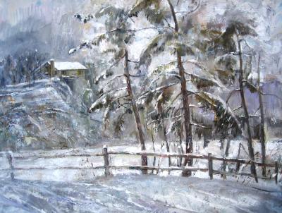 Minniwaska Lake Snow Falls